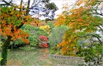 鶴岡八幡宮